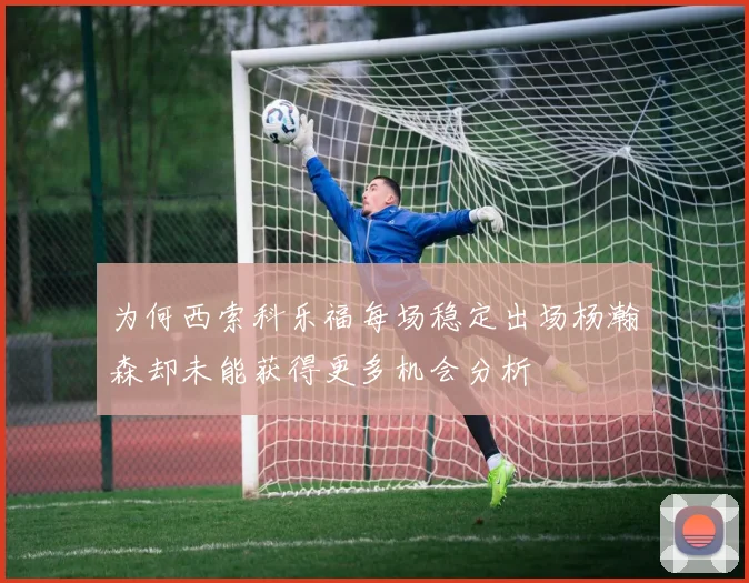 为何西索科乐福每场稳定出场杨瀚森却未能获得更多机会分析