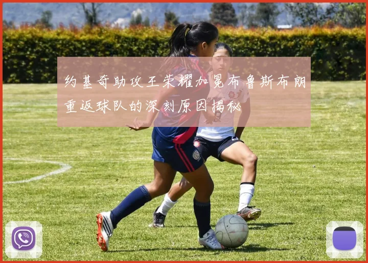 约基奇助攻王荣耀加冕布鲁斯布朗重返球队的深刻原因揭秘