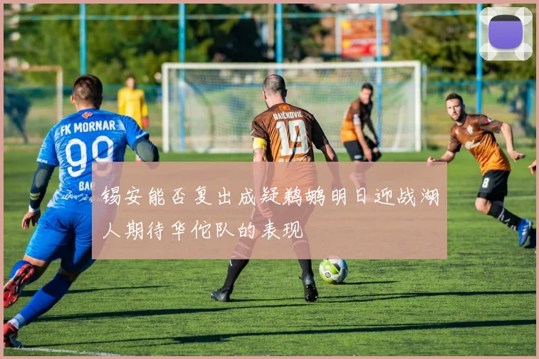 锡安能否复出成疑鹈鹕明日迎战湖人期待华佗队的表现