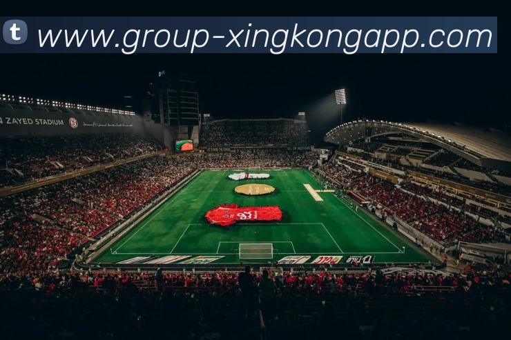 星空体育平台生态图