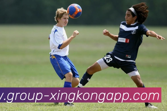 星空体育APP 封面图